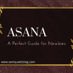 Asana- A Perfect Guide for Newbies