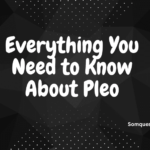 Everything You Need to Know About Pleo