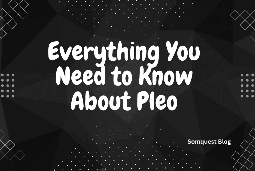 Everything You Need to Know About Pleo