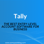 Tally: The Best Entry-Level Account Software for Business