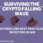 Surviving the Crypto Falling Wave: Strategies and Best Practices for Investors in 2023